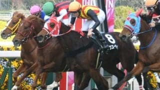 【次走】ラヴユーライヴはマーメイドSで復帰予定　兄姉にリアルスティール＆ラヴズオンリーユー