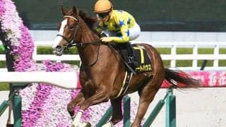 【次走】アートハウスは引き続き川田将雅騎手とのコンビでオークスへ