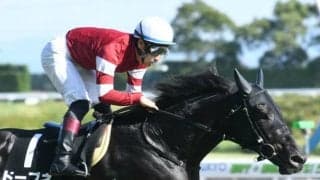 【今日の注目ポイント】中京で京都新聞杯、東京ではダービーTR・プリンシパルS