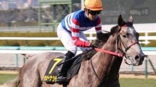 【京都新聞杯予想】ダービーへの東上最終便、鍵は瞬発力よりも持久力