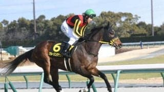 【NHKマイルC予想】セリフォスは余裕残し!? 馬体から導き出した妙味ある馬とは