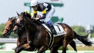 【京都新聞杯予想】素質馬揃いで混戦模様！ 楽観視できない「あの実績馬」