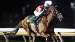 【地方競馬】船橋競馬が1開催の売得金レコードを更新　5日間で116億超え