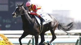 【新潟4R・障害未勝利】フォッサマグナが“5秒1”差の圧勝劇　藤沢和雄厩舎からの転厩初戦