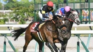 【京都新聞杯結果】アスクワイルドモアが日本レコードV！父キズナと親子制覇