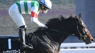  【新潟大賞典前日オッズ】シュヴァリエローズが4.0倍で1番人気