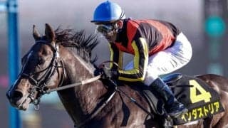 【NHKマイルC前日オッズ】セリフォスが4.4倍で1番人気、インダストリアが4.6倍で続く