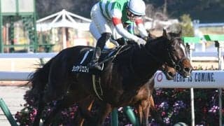 【新潟大賞典予想】粘り込み図るも「5馬身差」。人気でも不安残る前走の失速…。