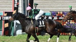 【次走】御堂筋Sを制したダンディズムは富田騎手で目黒記念へ