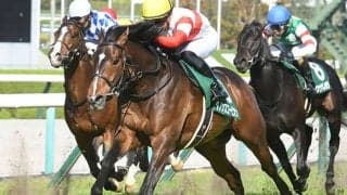 【AI予想・NHKマイルC】重賞勝ち馬に妙味あり！ 互角の勝負も人気落ちの「あの馬」に注目