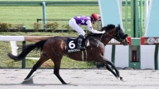 【立夏S】サンライズウルスが3馬身差完勝