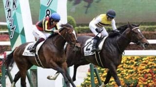 【東京7R】ハービンジャー産駒 ニシノスーベニアが最内から抜け出す