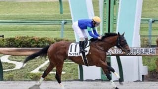 【東京6R】ウィンダミアが人気に応えて2勝目