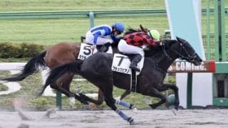 【東京5R】断然人気ブラックピアノが初勝利