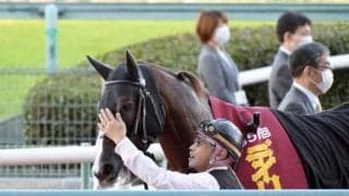 【NHKマイルC予想】同産駒3勝の相性を武器にGIタイトル奪取を