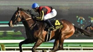 マイルＣのヒントはもちろん「NHK」。大河ドラマに隠された馬券のサインとは？