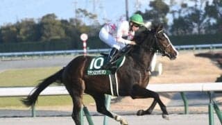 【NHKマイルC】2桁人気を積極的に入れた馬券で挑戦！ カギは8枠・ダイワメジャー・鞍上○○で？