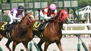 【橘S結果】ウインマーベルが抜け出してオープン2勝目