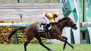 【湘南S】ジャスティンカフェがオープン入り