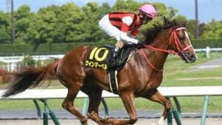 【JRA・WIN5】本日のWIN5は的中112票、配当436万5300円