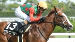 【鞍馬S結果】シゲルピンクルビーが押し切って久々の白星