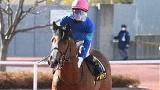 【新潟大賞典】連勝ストップのアルサトワは鼻出血を発症、6月8日まで出走停止