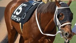 【JRA】土曜新潟で落馬の西谷誠騎手は左肩甲骨々折の疑い、騎乗馬テンザワールドは予後不良