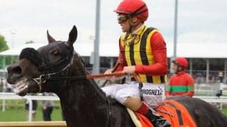 【ケンタッキーダービー】ルメール「直線では疲れてしまった」クラウンプライドは13着敗退