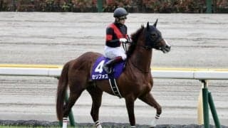 【NHKマイルカップ】福永「最後は伸びあぐねていた」レース後ジョッキーコメント