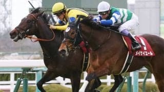 【京王杯SC登録馬】メイケイエールなど12頭