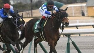 【京王杯スプリングC見どころ】メイケイエールの重賞5勝目なるか