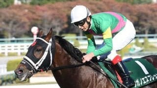 【京都ハイジャンプ想定騎手】タガノエスプレッソは石神深一騎手、ポルトラーノは草野太郎騎手