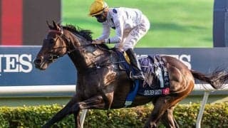 香港最強馬ゴールデンシックスティが熱中症により安田記念を回避