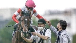 NHKマイルCをダノンスコーピオンが勝利　父は現3歳世代JRA種牡馬ランキングでトップに輝く