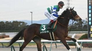 【京王杯SC想定騎手】メイケイエールは池添謙一騎手、スカイグルーヴはC.ルメール騎手