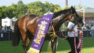 これまで2頭出走でいずれも勝ち上がり　あまり試されてこなかったキズナ×ゼンノロブロイ