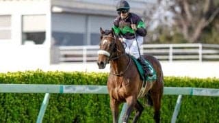 【京王杯スプリングC展望】安田記念の前哨戦、速い上がりを使えるかがカギ