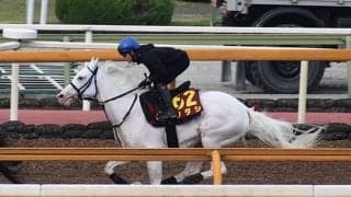 【ヴィクトリアマイル想定騎手】ソダシは吉田隼人騎手、デアリングタクトは松山弘平騎手