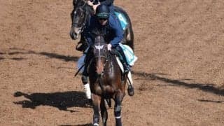 ダノンプレジャーなど、先週のゲート試験/栗東トレセンニュース