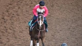 フォエヴァーダーリングの2020など、先週の入厩情報/栗東トレセンニュース