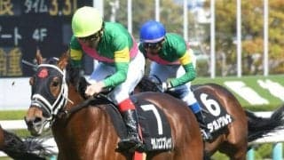 【京都ハイジャンプ予想オッズ】タガノエスプレッソが予想1番人気