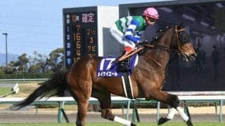 【京王杯スプリングC予想オッズ】メイケイエールが予想1番人気
