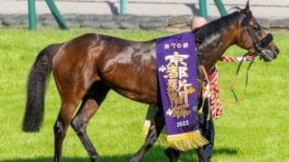 【京都新聞杯】岩田望「素晴らしい伸び」アスクワイルドモアがレコードV