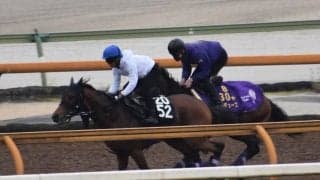 ドウデュース、日本ダービー2週前追い切り速報/栗東トレセンニュース