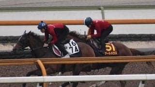 アートハウス、オークス1週前追い切り速報/栗東トレセンニュース