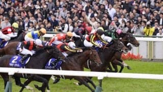 ステルヴィオが競走馬登録抹消