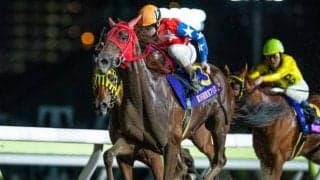 【大井・東京プリンセス賞結果】スピーディキックが人気に応えて二冠達成