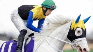 【ヴィクトリアマイル予想】Aiエスケープの指名はちょっと意外なあの馬!?　特に注目すべきは〇〇数