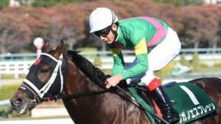 【京都ハイジャンプ出走馬・騎手確定】タガノエスプレッソ＆石神深一騎手、エコロドリーム＆五十嵐雄祐騎手など9頭