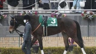 【京王杯スプリングC出走馬・騎手確定】メイケイエール＆池添謙一騎手、スカイグルーヴ＆ルメール騎手など12頭